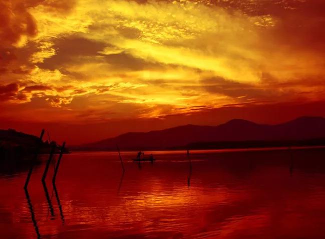 和词最多的一首宋代女作家词!——钟教授陪您读古诗词(55)