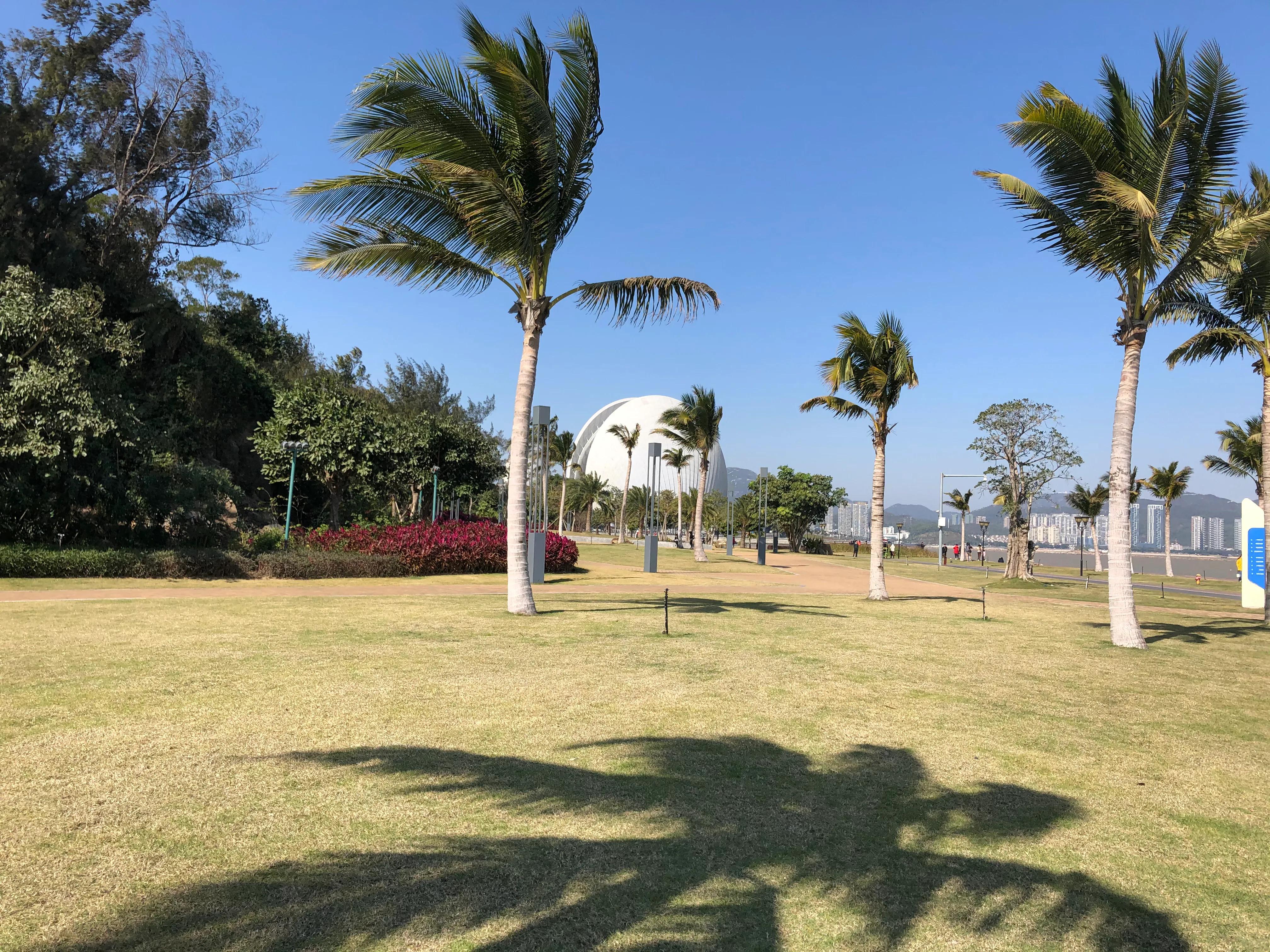 珠海野狸岛退潮时间,珠海冬日游