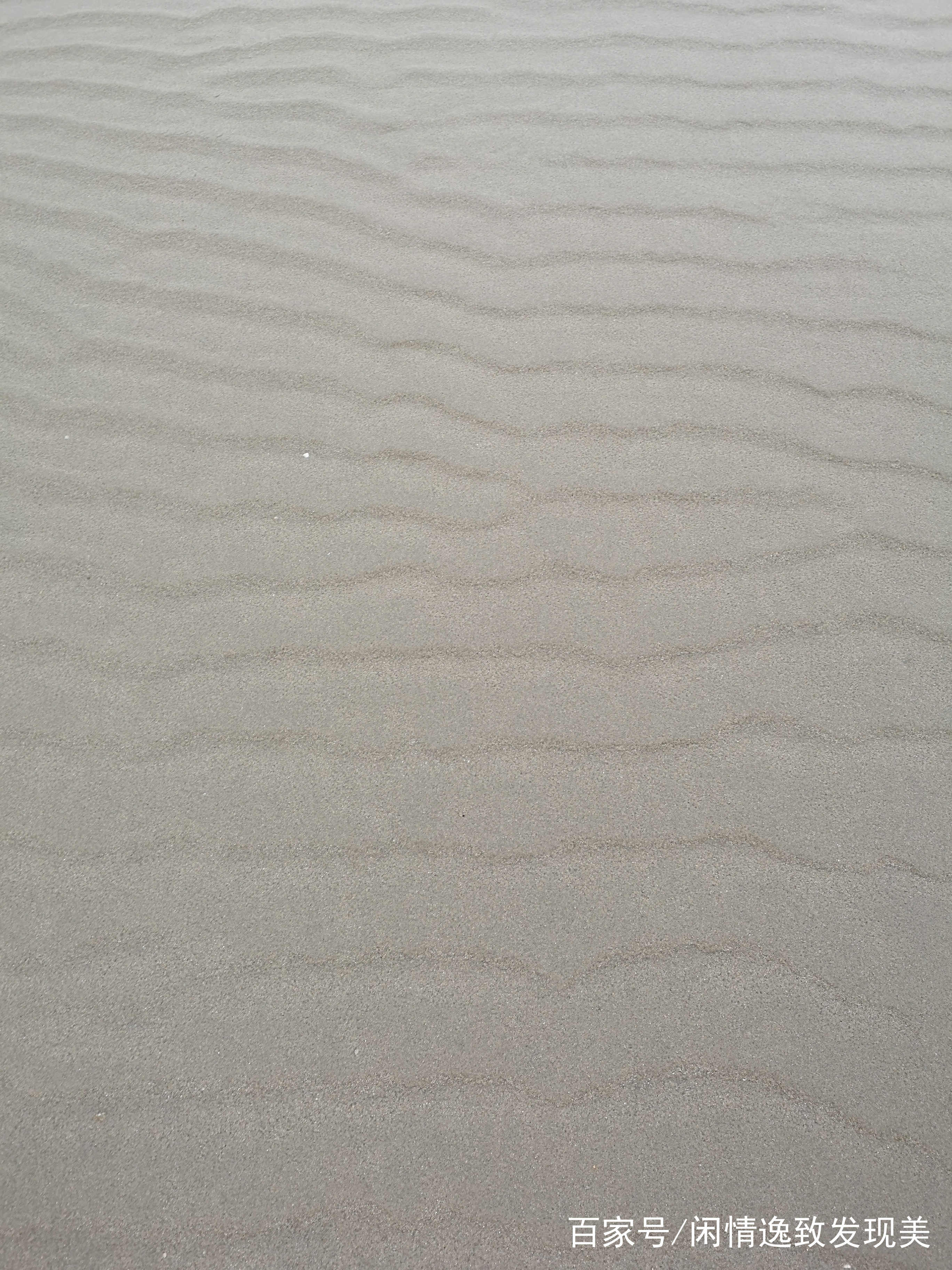 厦门六鳌游玩攻略一日游,福建六鳌岛旅游攻略一日游