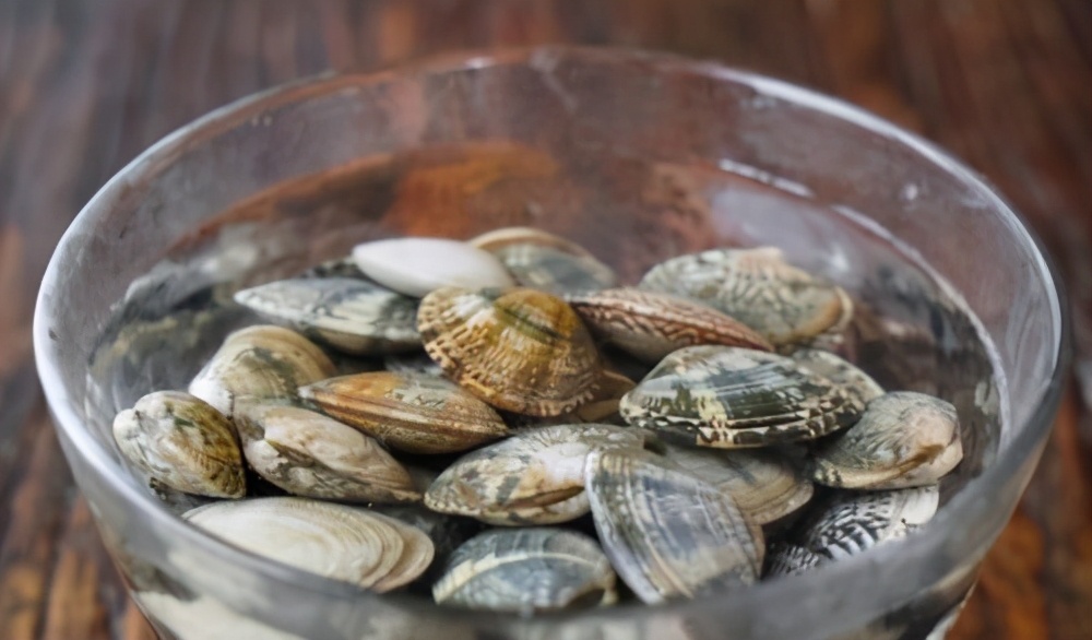 白蛤蜊吐沙盐的比例,洗蛤蜊吐沙