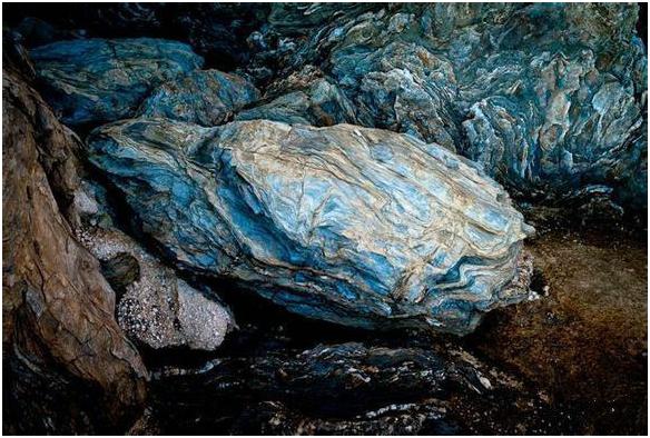 看图识海鲜，这些水产海鲜你都认识吗？