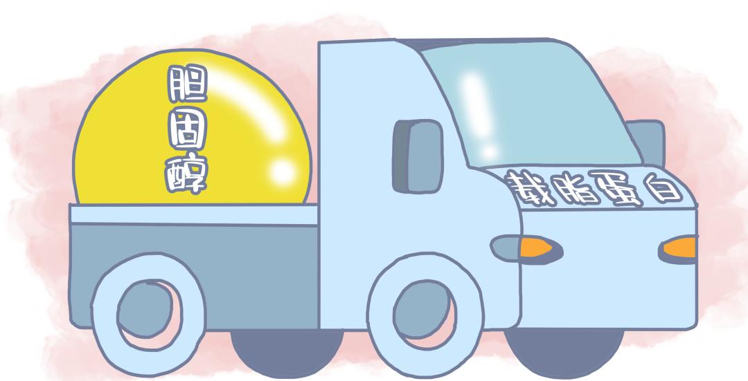 血常规体检的这个指标很重要,体检血常规各项指标及说明