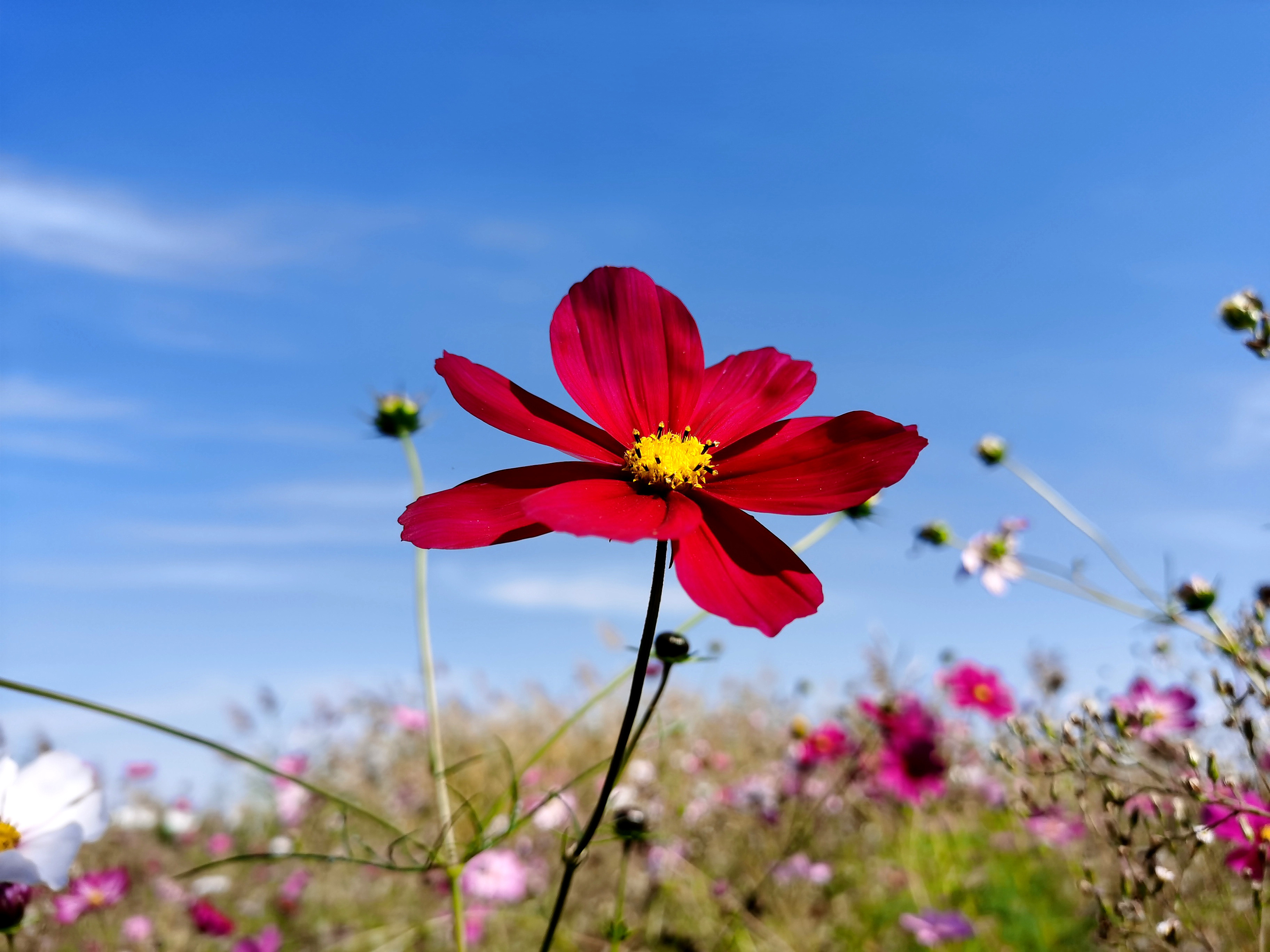 荆山旅游景点大全,荆山美景