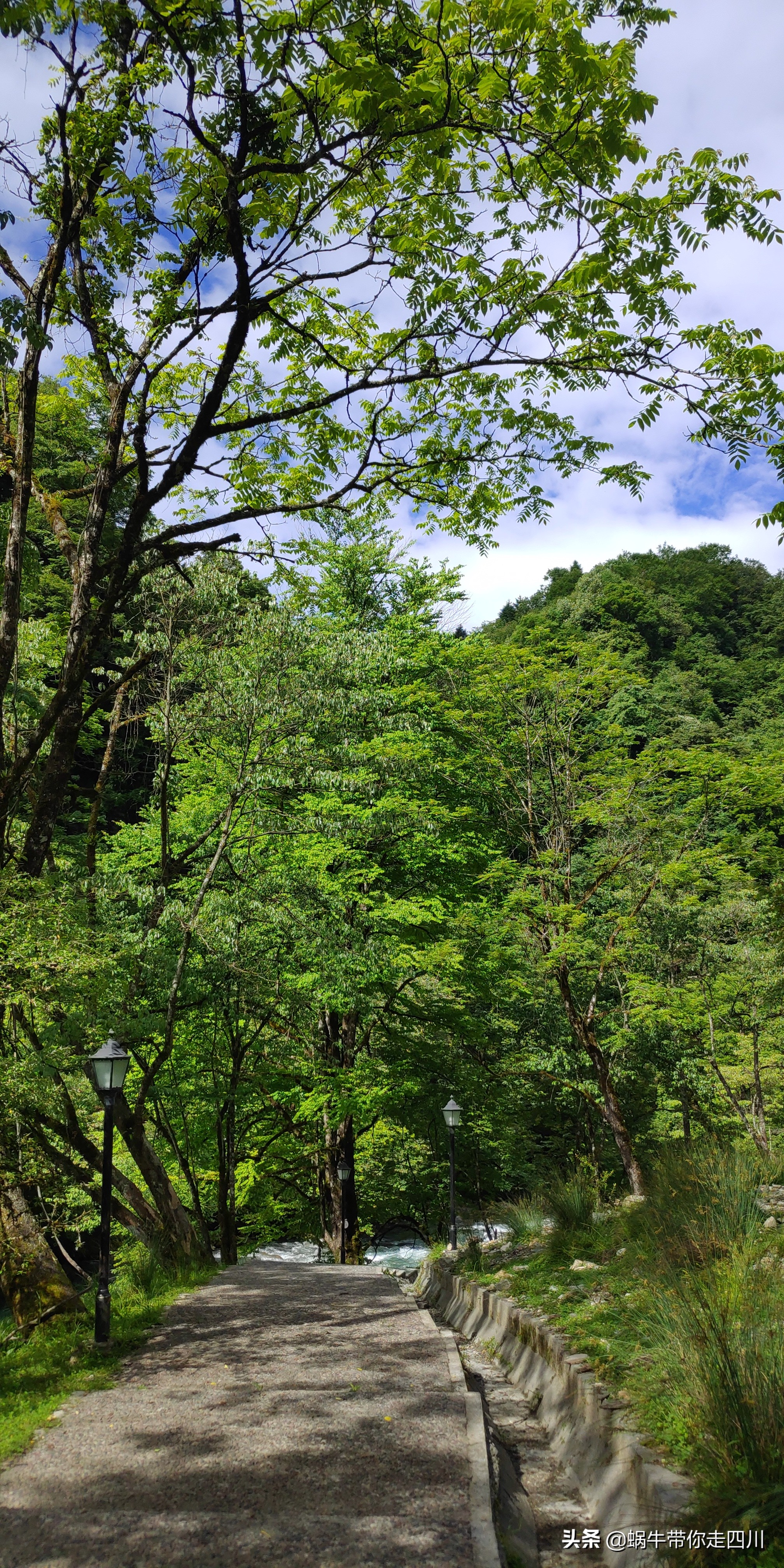 带小朋友出去看小动物,带小孩去海洋动物园