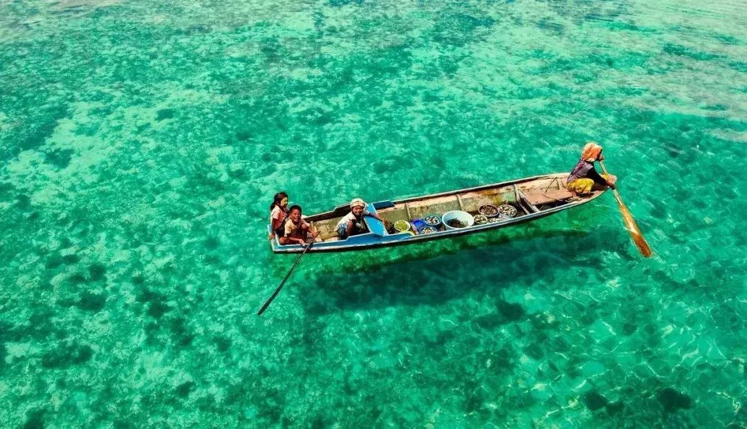 100个奇葩旅行冷知识,80个冷知识视频讲解大全