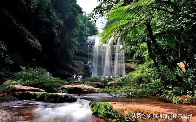 原来你是这样的顾总,原来你是这样的云南