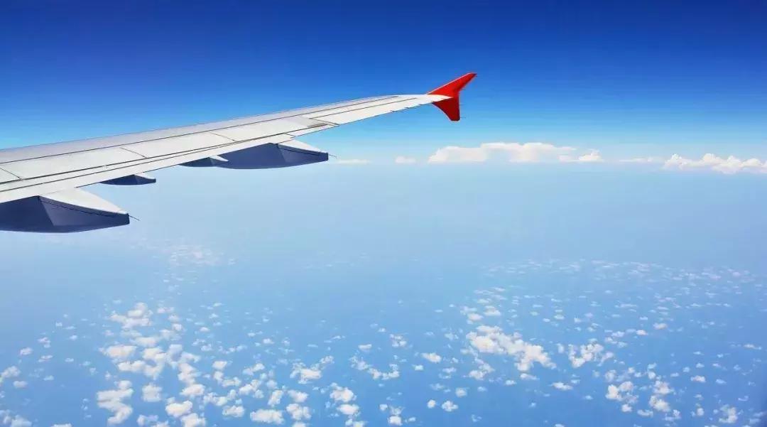 一粒种子的旅行中的冷知识,旅行冷知识