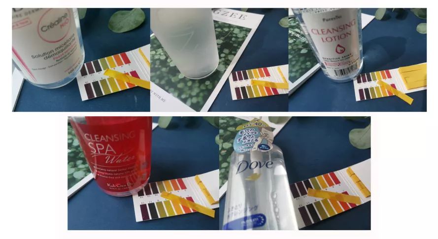 李佳琦跟张柏芝,李佳琦和张柏芝