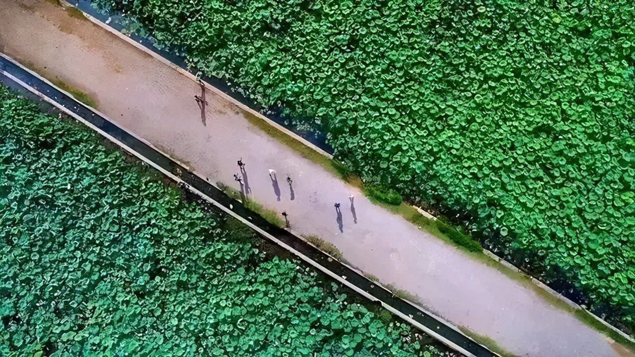 西安出发到云南跟团游推荐,6月西安到云南5天旅游攻略