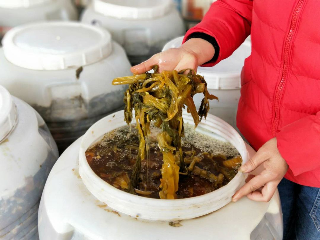 寿光这种“垃圾”火大了!它让纪台吕一村的全体菜农如获至宝