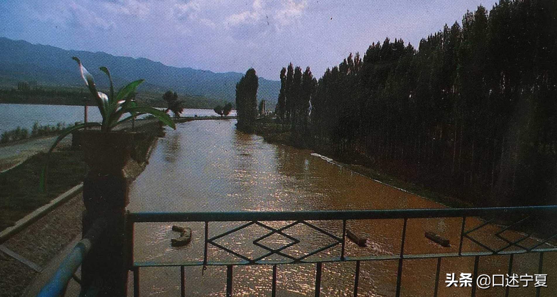 宁夏中卫历史名村,宁夏中卫历史简介