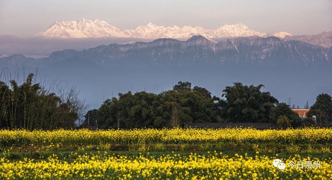 崇州市区看雪山,崇州看雪山