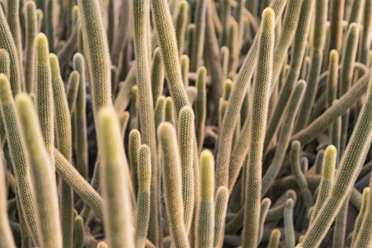 最美湖泊小众风景,最美湖泊西湖