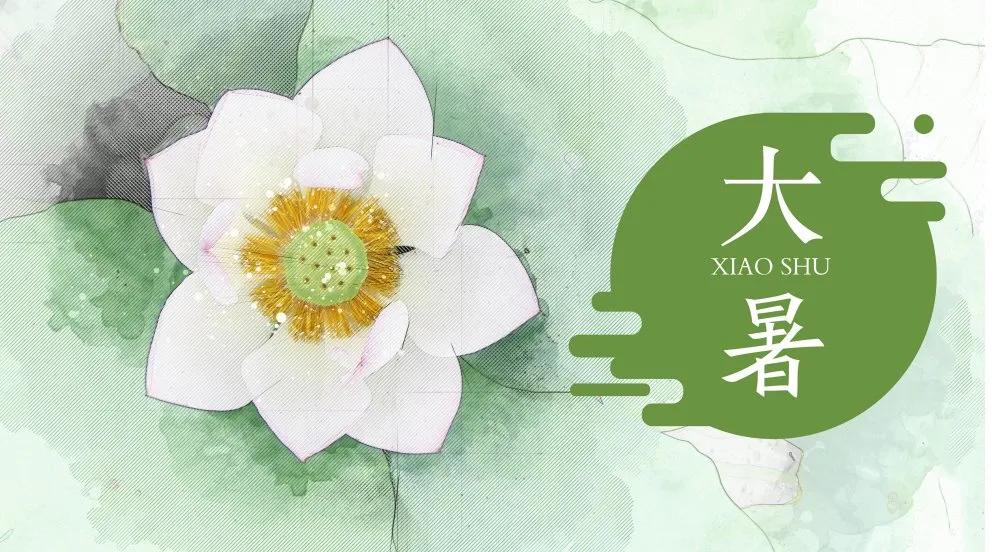 大暑养生的三种调养方法,中医痿症饮食需要注意什么