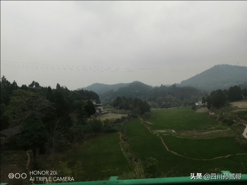 雪宝奶牛场,参观雪兰牛奶工厂心得体会