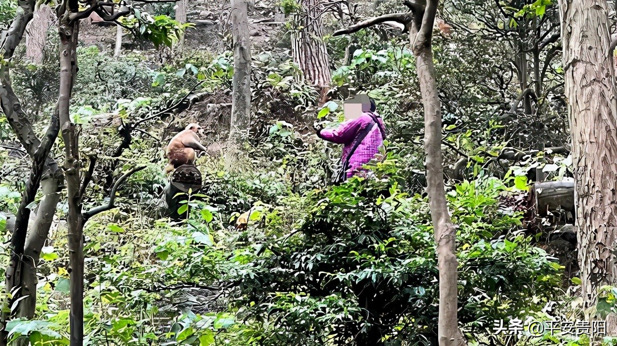 越来越嚣张了怎么办,越来越嚣张怎么解决