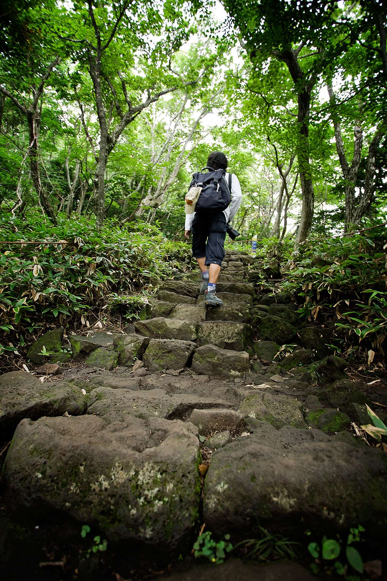 首尔亲子游攻略,首尔约会攻略