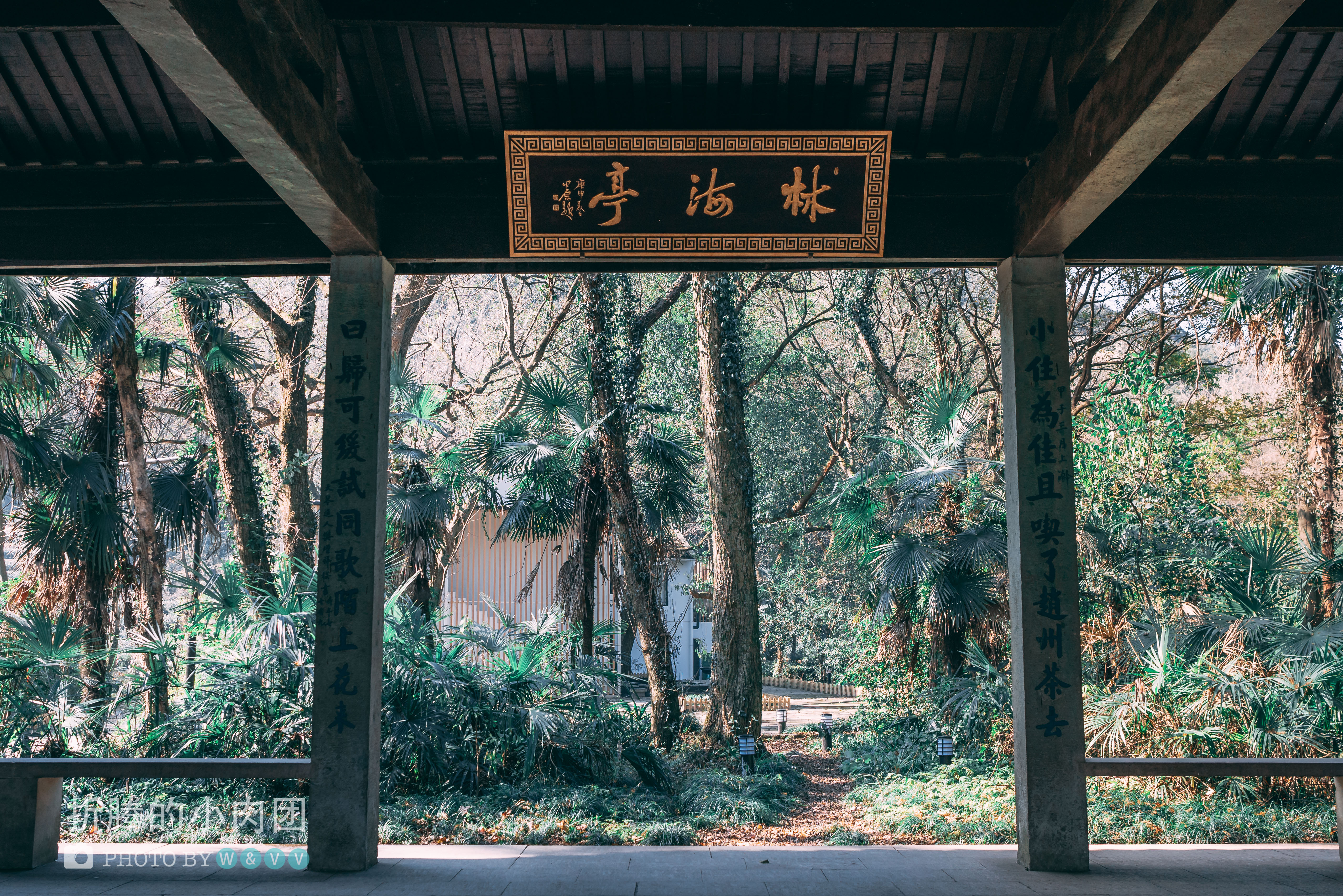 深度游玩杭州西湖,众人皆爱江南韵唯我独赏十二钗