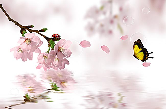 还没谈男朋友就怀孕了怎么办,女朋友没有结婚怀孕了怎么办