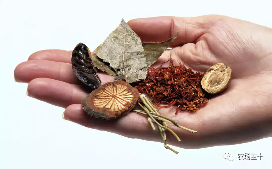 土特产怎么经营最好,打破困局的最好方法