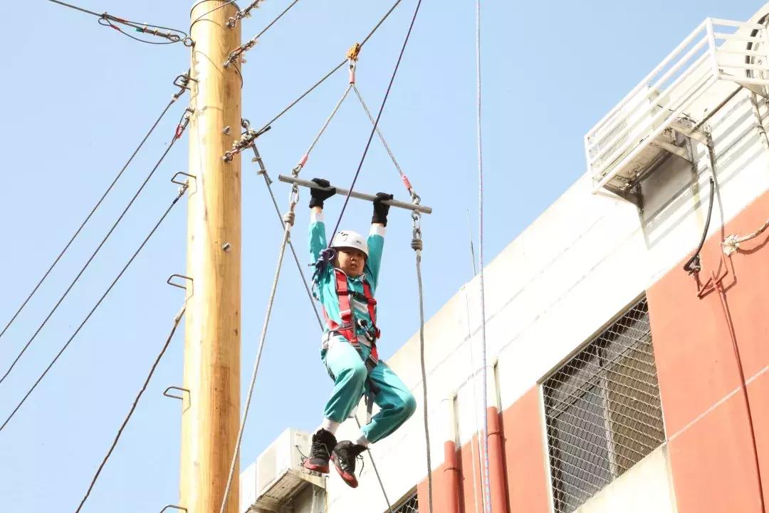 博实乐碧桂园国际学校学费多少,胡润百学国际学校2023全榜排名