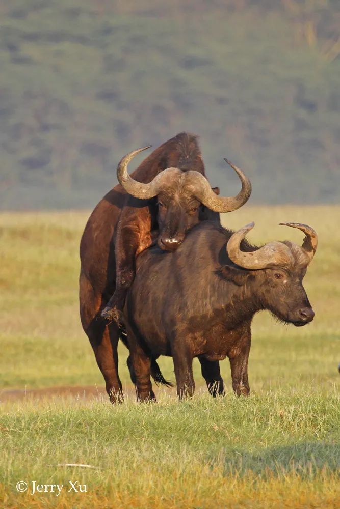 情人节,就该和爱的人*爱做**做的事
