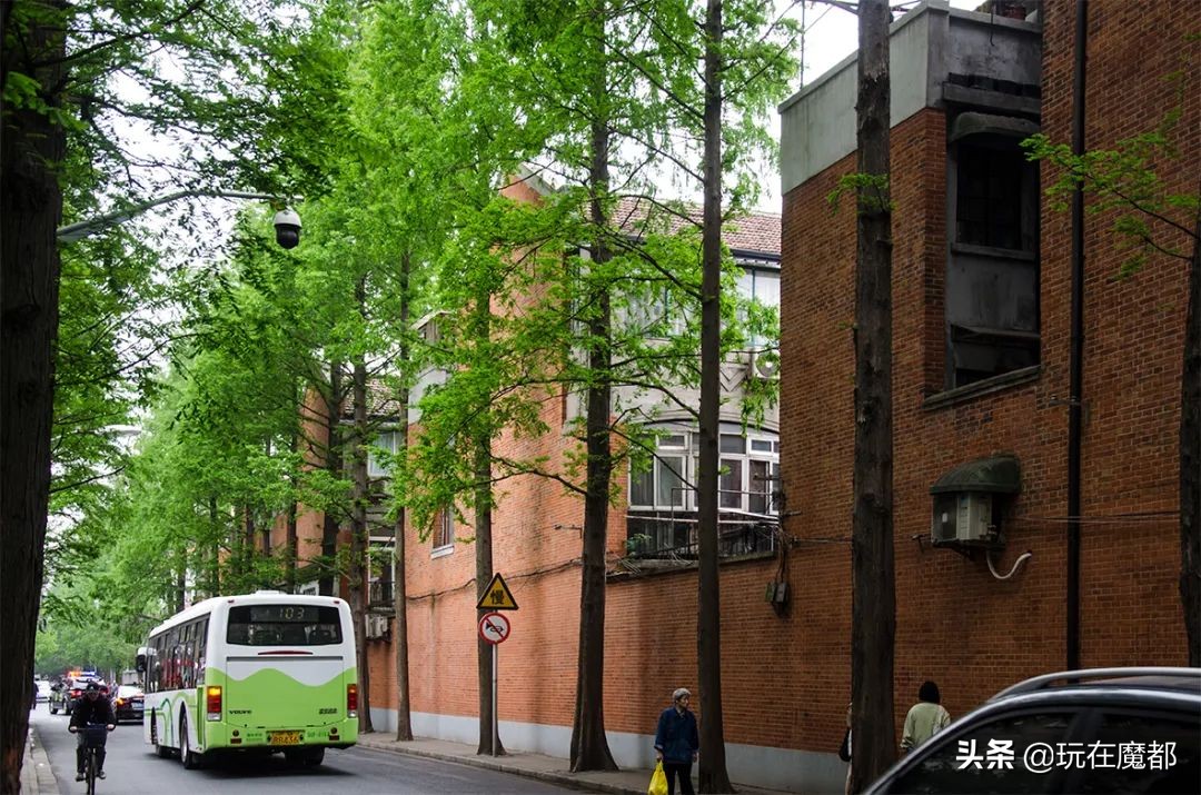 上海旅游必去景点推荐迪士尼,上海旅游攻略7大必去迪士尼景点