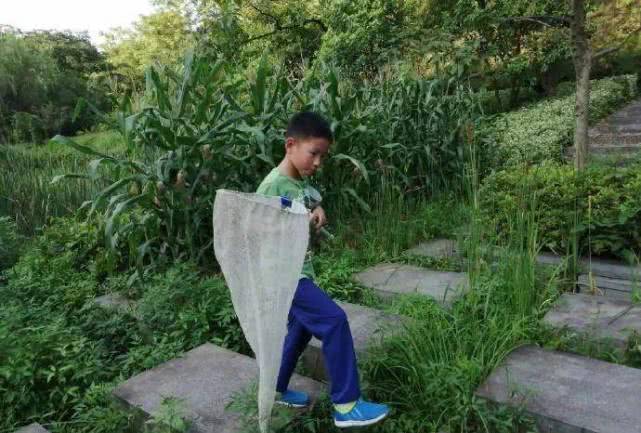 深夜,妈妈被窝惊现“千足虫”,原来竟是6岁儿子有这嗜好