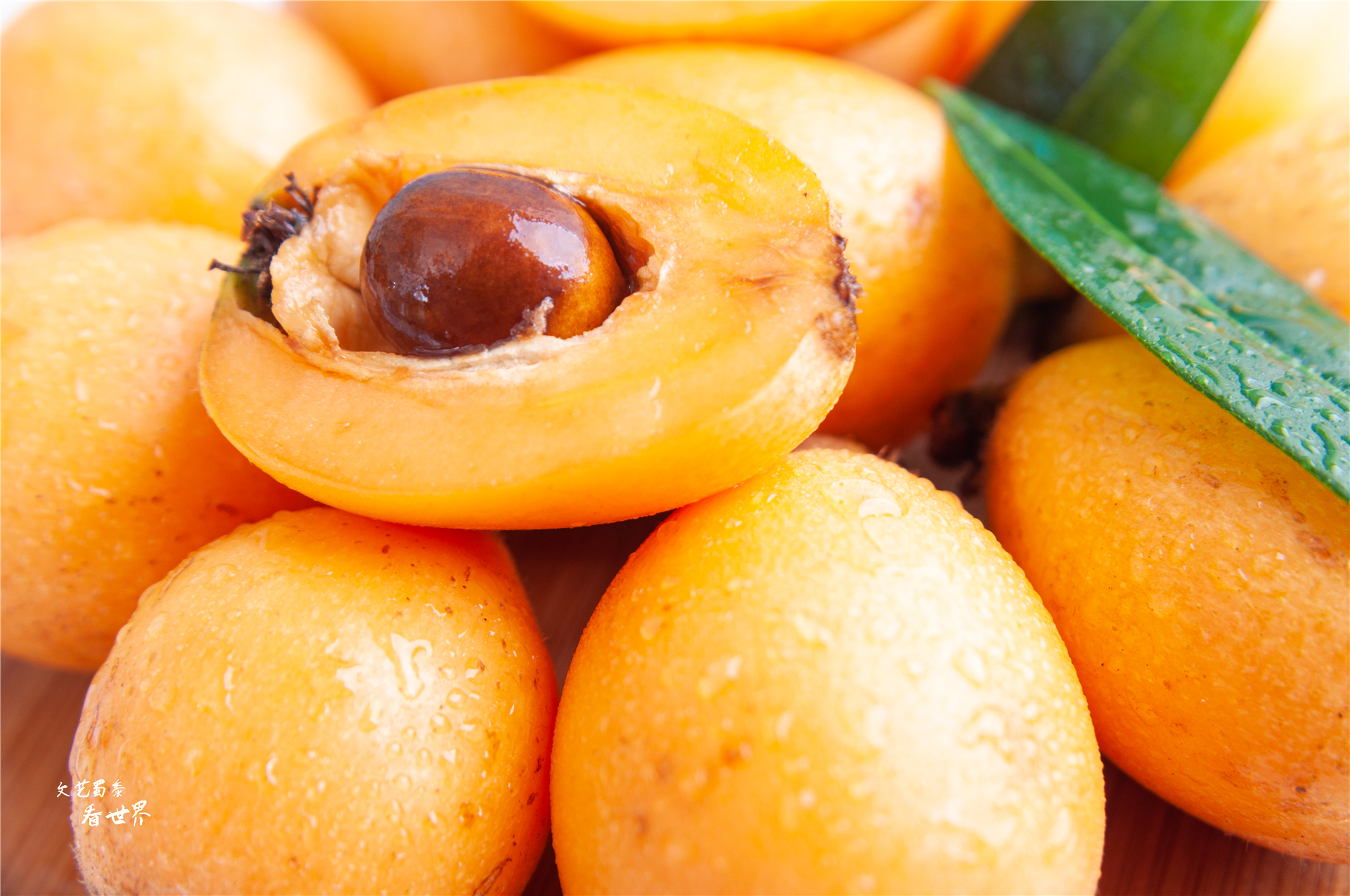 四川攀枝花适合过冬养老吗,攀枝花哪里成都人过冬最好