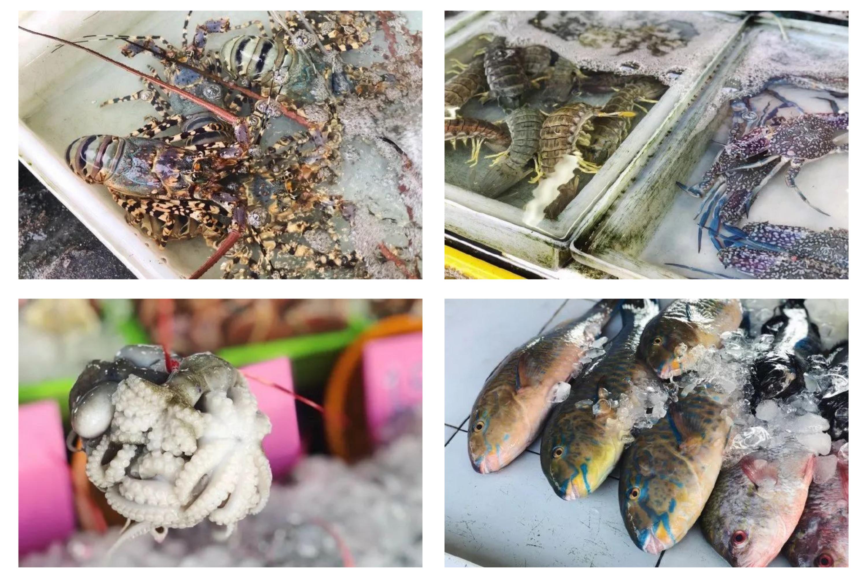 团建是出去玩还是吃饭,团建出去玩需要带什么