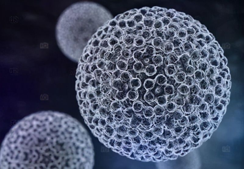 Hi，我是HPV|我知道你很怕我，但你却不知道我也怕你