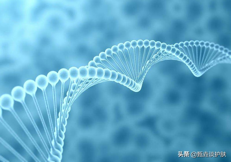 兰蔻微生态护肤,兰蔻小黑瓶淡斑怎么样