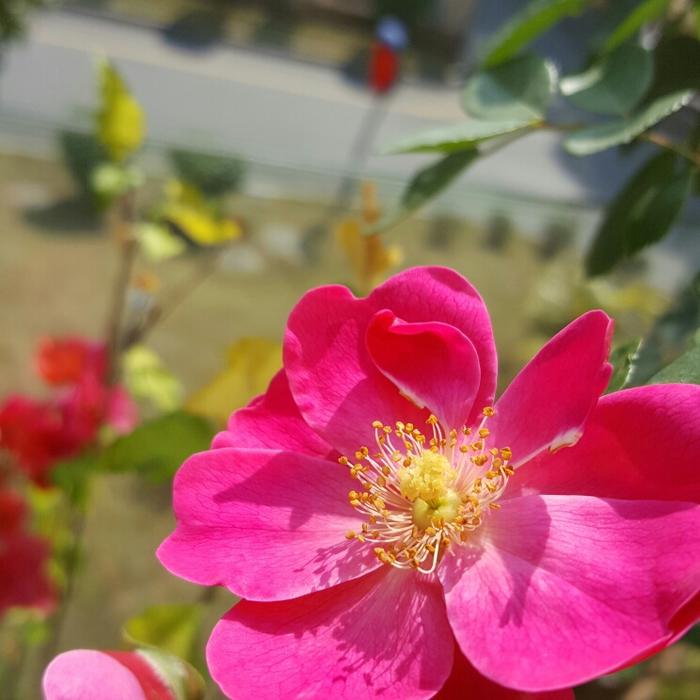 安装阳台窗户注意事项有哪些,装阳台注意事项和细节