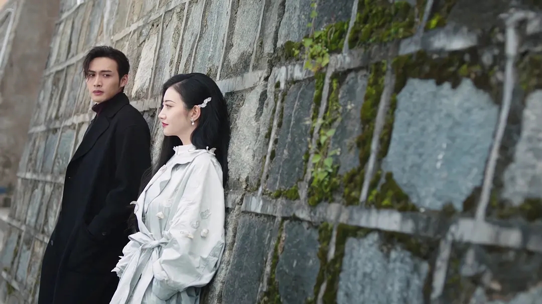 司藤推荐相关剧,司藤这部电视剧符合你的预期吗