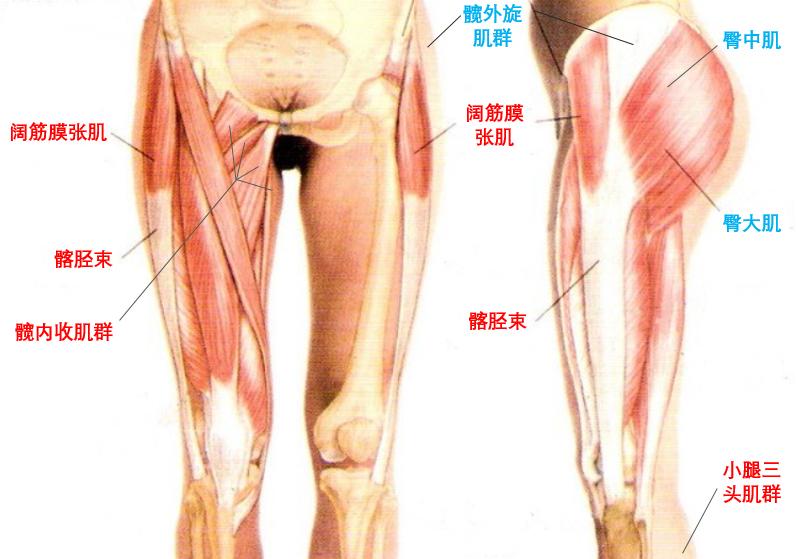 跑步膝盖内扣几个动作解决,膝盖内扣训练方法大全集