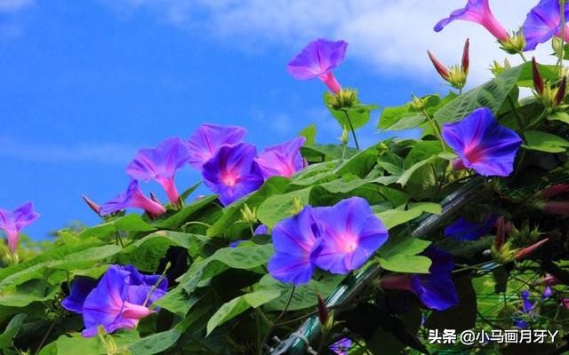 千字文全文注音版,千字文注音逐句解释