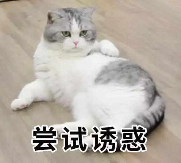 如何快速甄别绿茶婊,怎么分辨绿茶婊