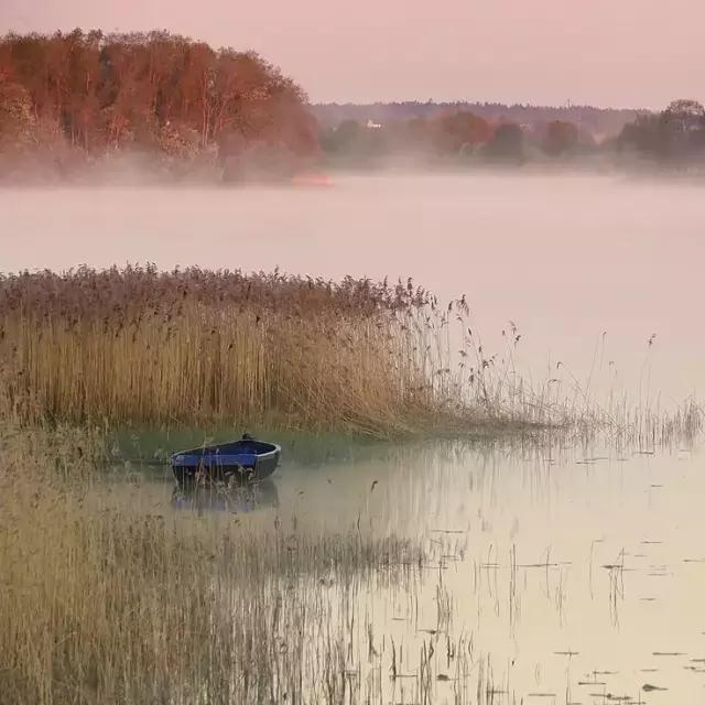 这才是正确的打开方式视频素材,手机的长焦镜头怎么打开