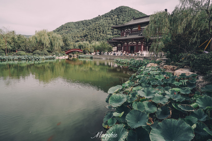 游览西安华清宫需要讲解吗,唐华清宫介绍