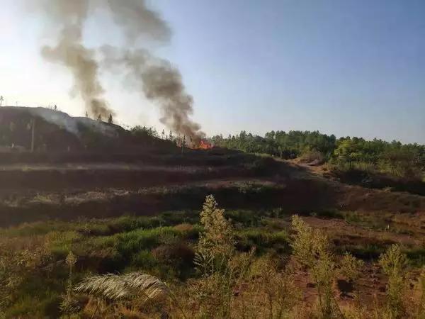 香烟最贵的多少钱一根,一盒价值上百的烟