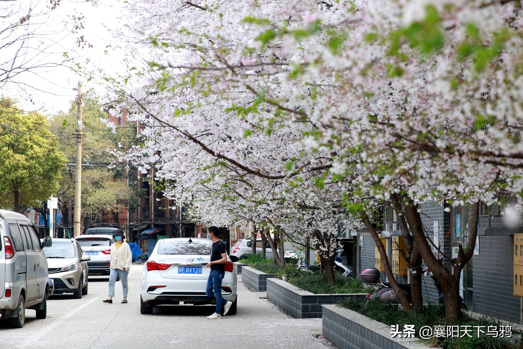 一些事情，谁都不愿意做，但总得有人去做