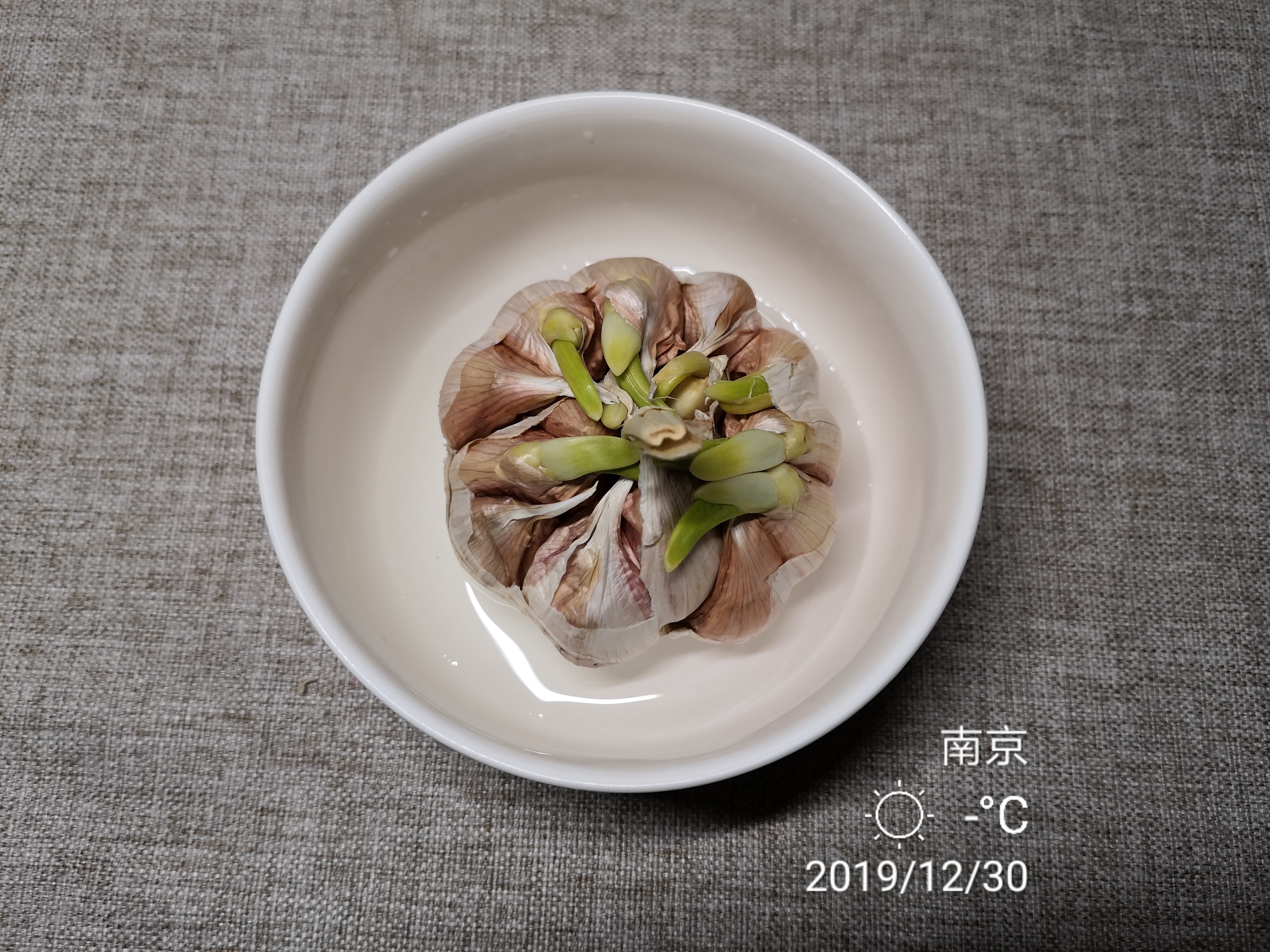 大蒜放久了长芽可以吃吗,大蒜放得太久发芽了还能吃吗