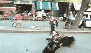 开心搞笑视频小哥哥,小哥哥搞笑视频gif