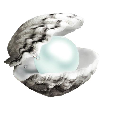 珍珠粉的10种用法,珍珠粉的多种用法