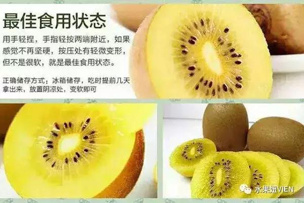 猕猴桃不熟怎么催熟呢,猕猴桃不熟放急冻怎么办