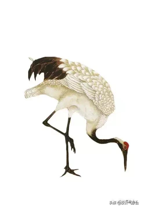 你嫉妒那个用古风出图的同事？我也嫉妒