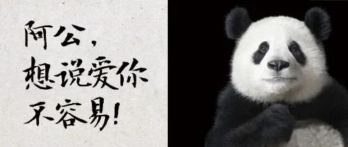 幼儿园公众号,想说爱你不容易