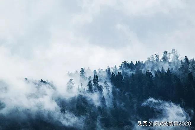 那些很火却又不知出处的古诗词,100首顶级绝美古诗词名句及解释