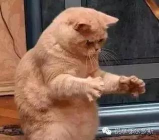 不包邮的内蒙有多大,你们知道内蒙古到底有多大吗