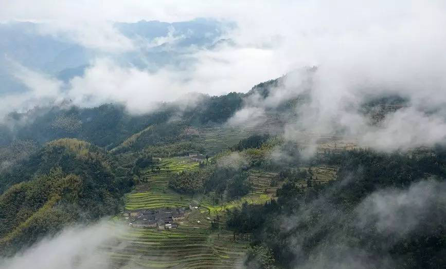 每日一村｜白云鸡犬之境，流水桃花之乡——公盂村